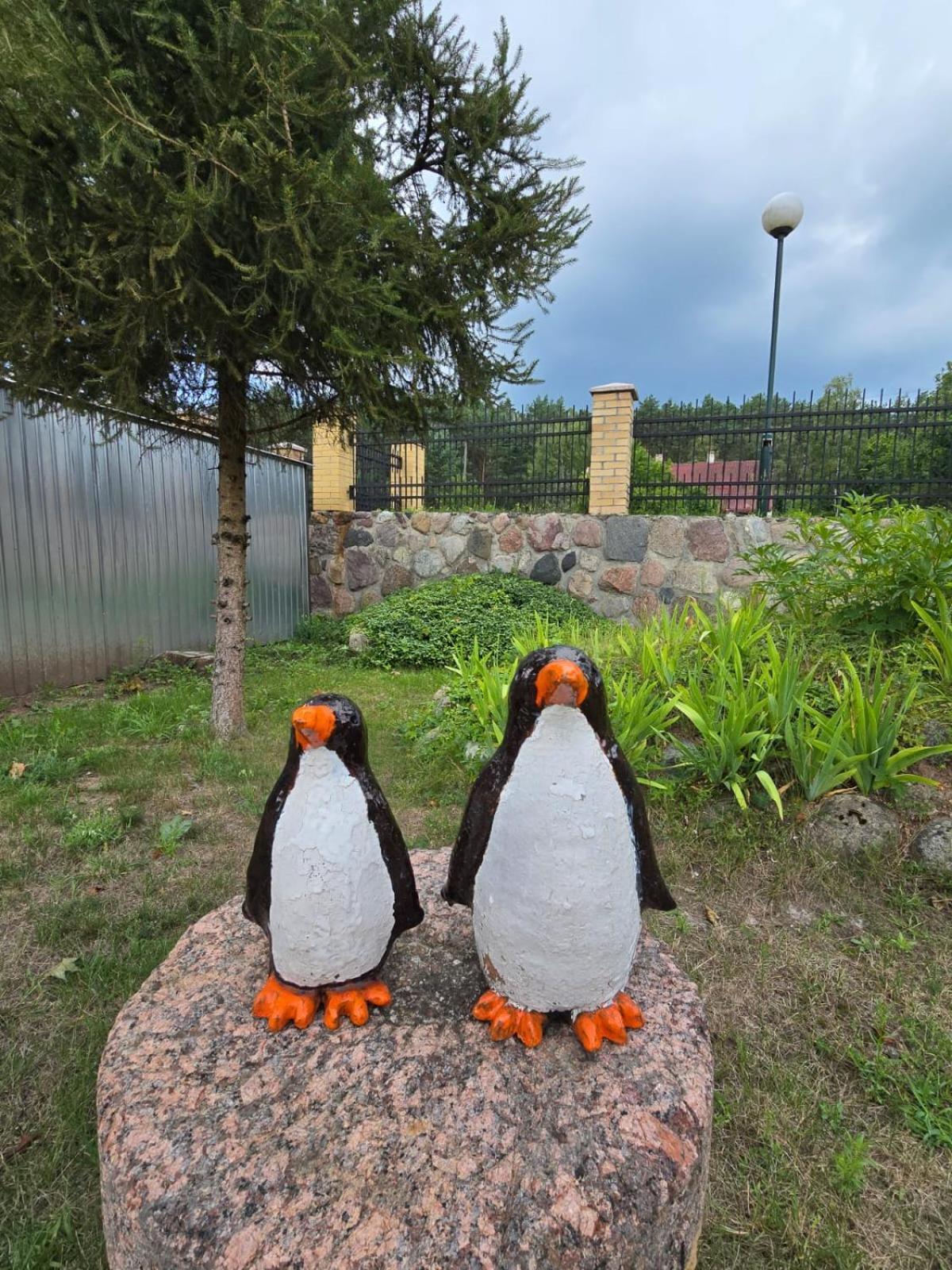 Drawa Motel Przesieki Bagian luar foto
